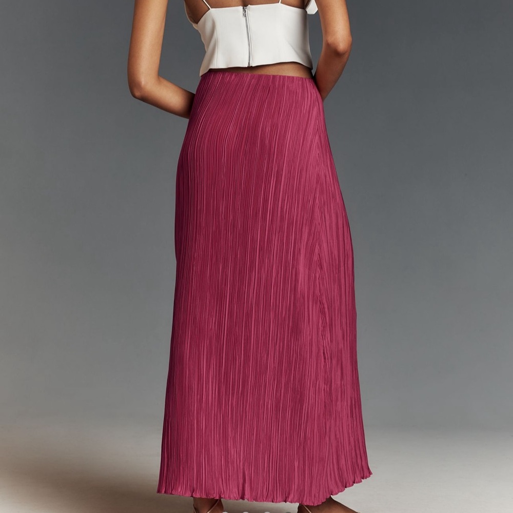 *Anthropologie The Tilda Maxi Slip Skirt: Plisse Edition - Picture 4 of 5